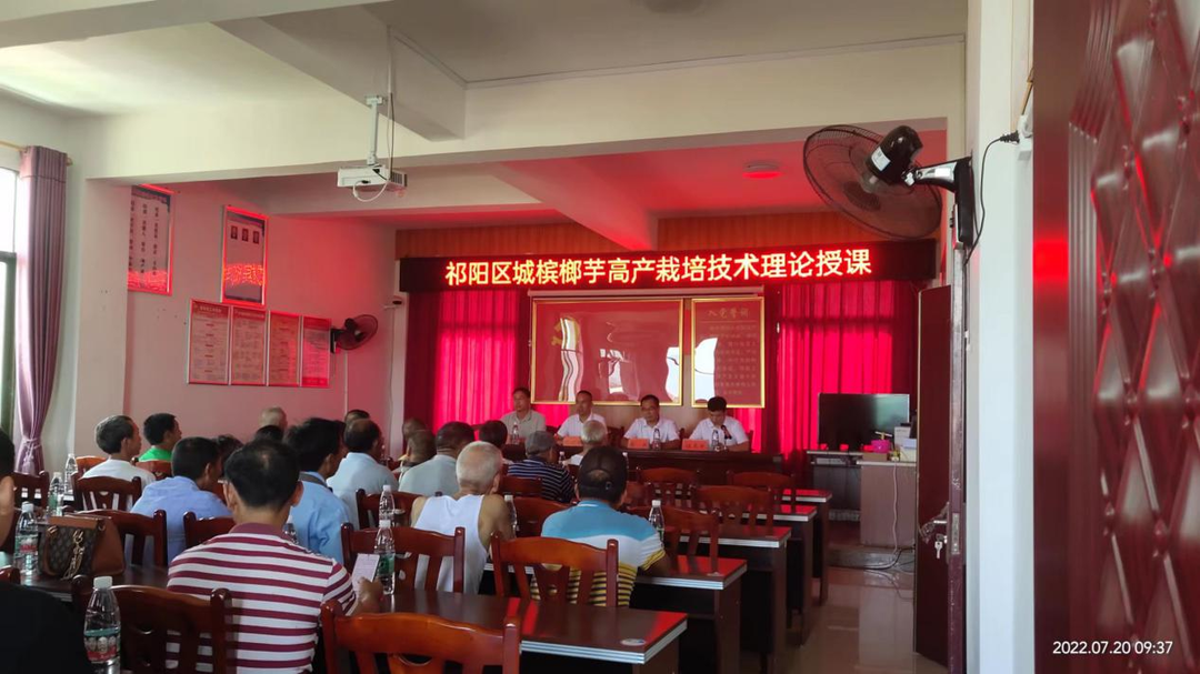 祁阳：科技人才走进乡村学堂