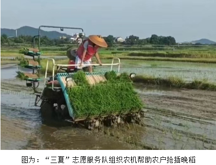 祁阳：田间地头“马甲红” 服务“三夏”保丰收
