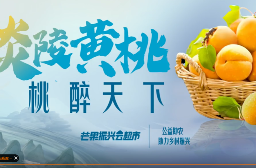 乘风破浪的姐姐品味炎陵黄桃：“果”然有味 “桃”醉一夏