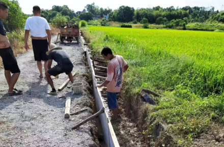 祁阳市白水镇：干群同心 生产自救