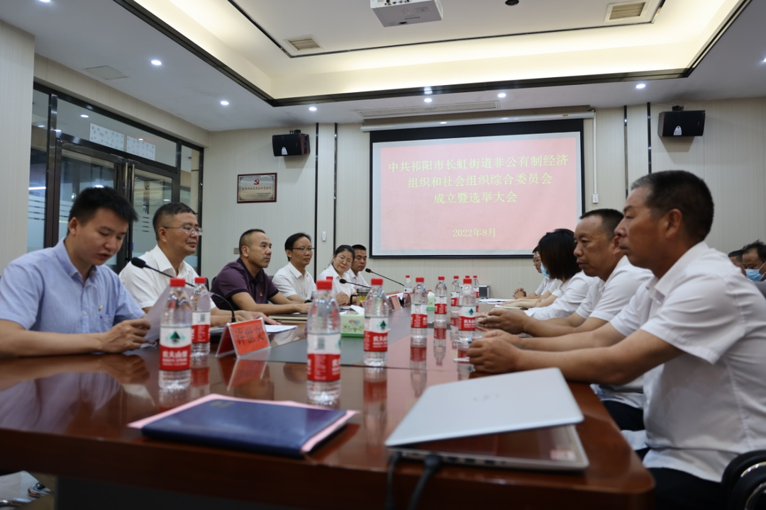 祁阳市成立首个街道两新组织综合党委