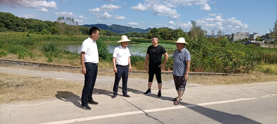 白水镇：全力以赴抗旱保种