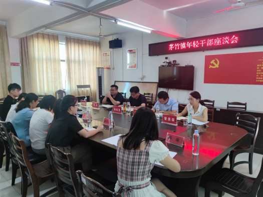 茅竹镇召开年轻干部座谈会