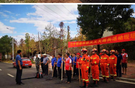 白水镇：主动作为 多措并举 防火抗旱保丰收