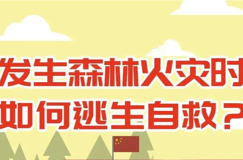 发生森林火灾时如何逃生自救？