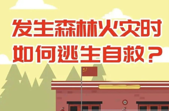发生森林火灾时如何逃生自救？