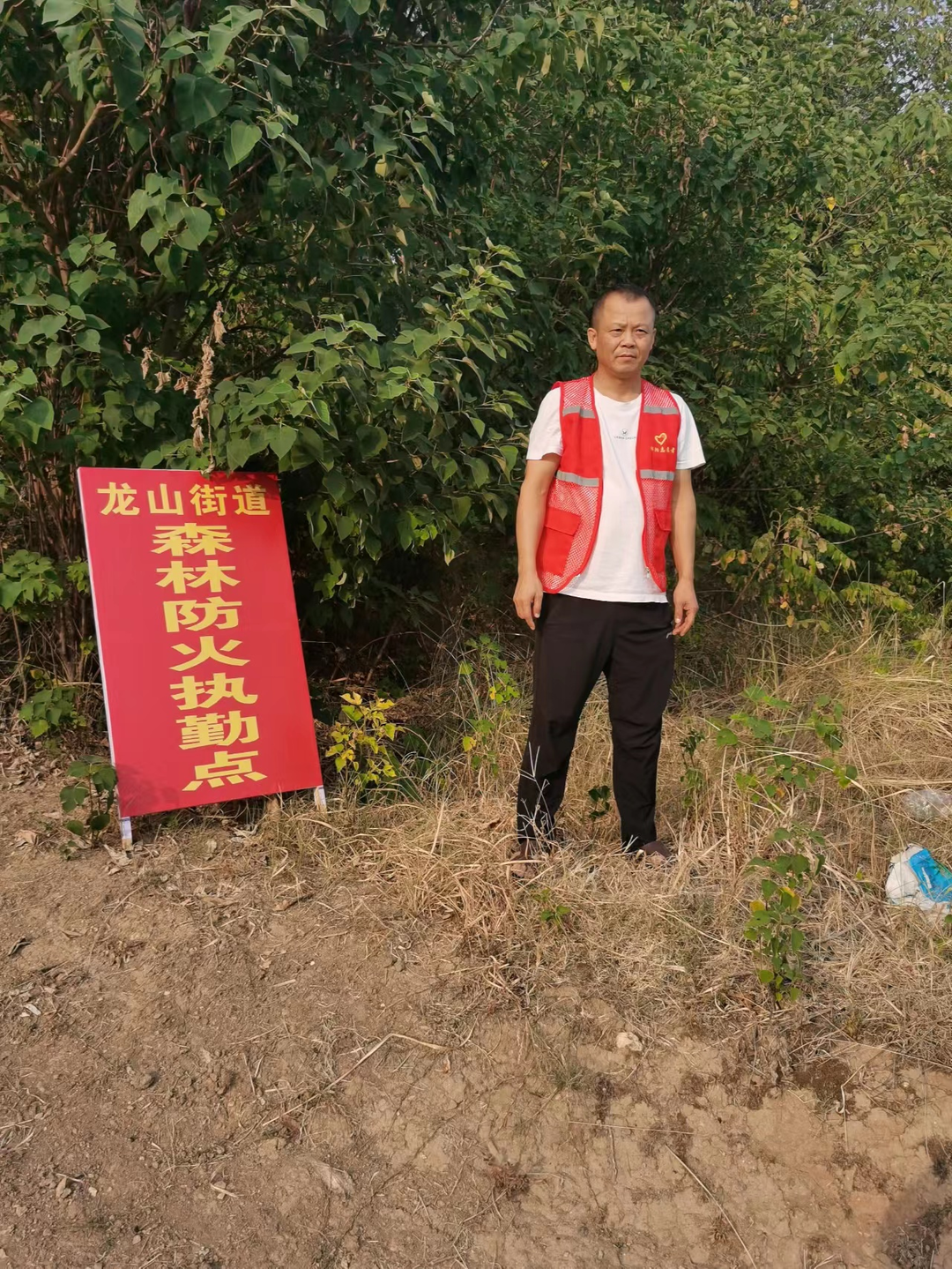 龙山街道:打好“组合拳” 织牢森林防火“安全网”