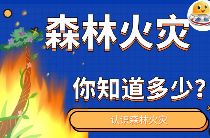 森林火灾你知道多少？