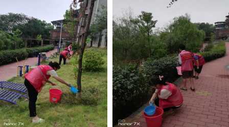 龙山街道宝塔街社区：护绿抗旱战高温 志愿者在行动