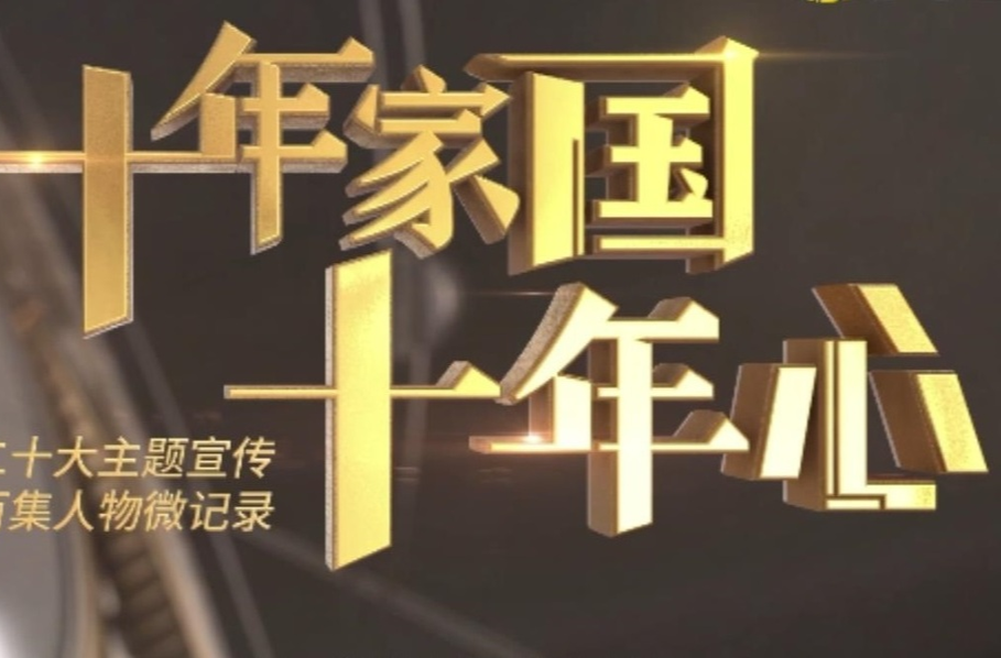 《十年家国十年心》集锦