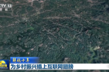 解码十年丨为乡村振兴插上互联网翅膀