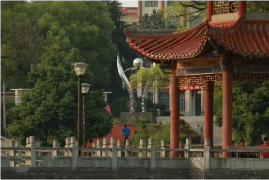 祁阳一中喜获省级“绿色学校”称号