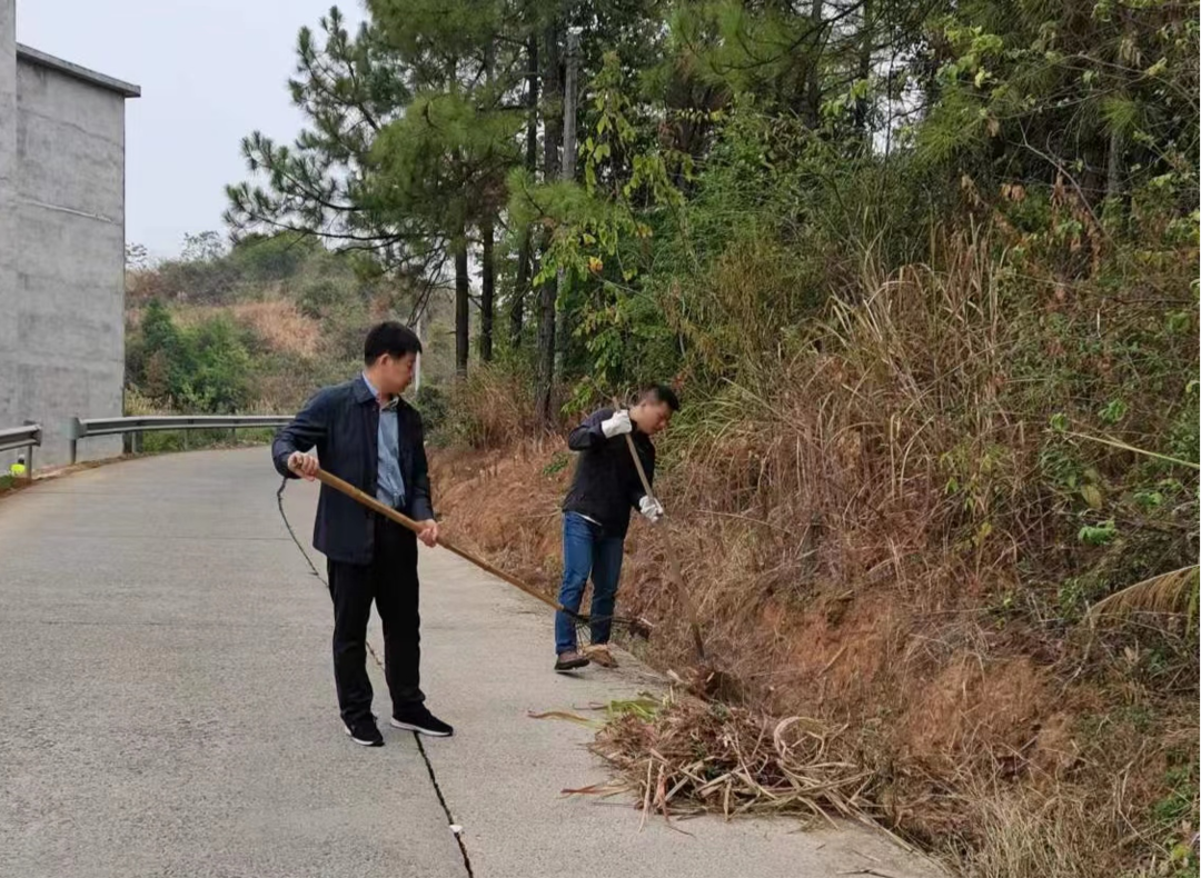 进宝塘镇：除草开设隔离带 力争防患于未“燃”