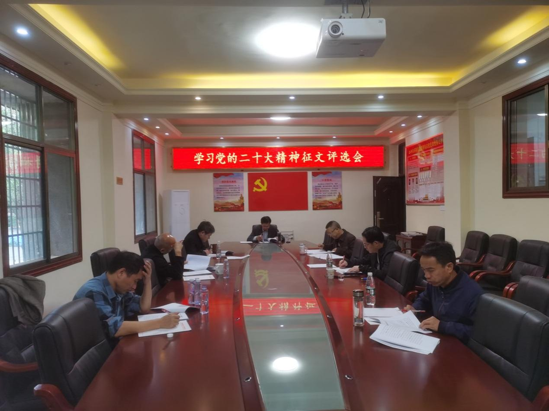 祁阳市委巡察办 认真学习宣传贯彻党的二十大精神