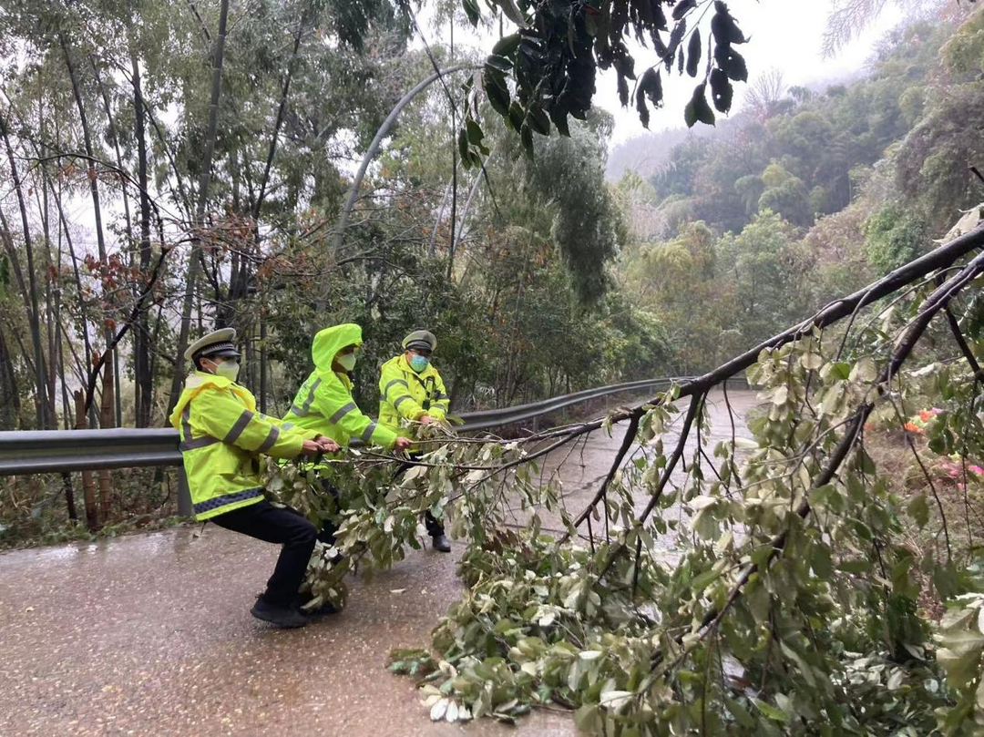 冰挂压弯树枝 交警快速清理护安全