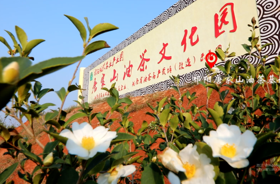 油茶博览馆