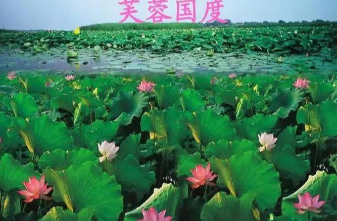 芙蓉国评论丨在希望的田野上奏响强农主旋律