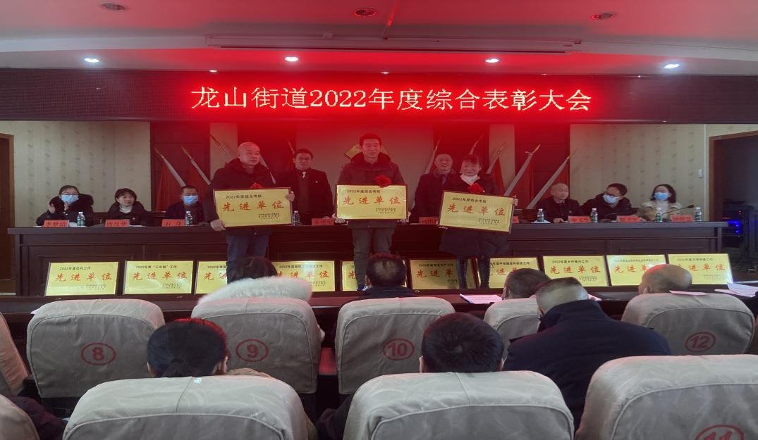 龙山街道召开2022年度综合表彰大会