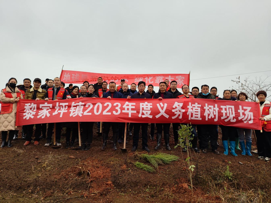 黎家坪镇：义务植树添新绿 共建绿色家园