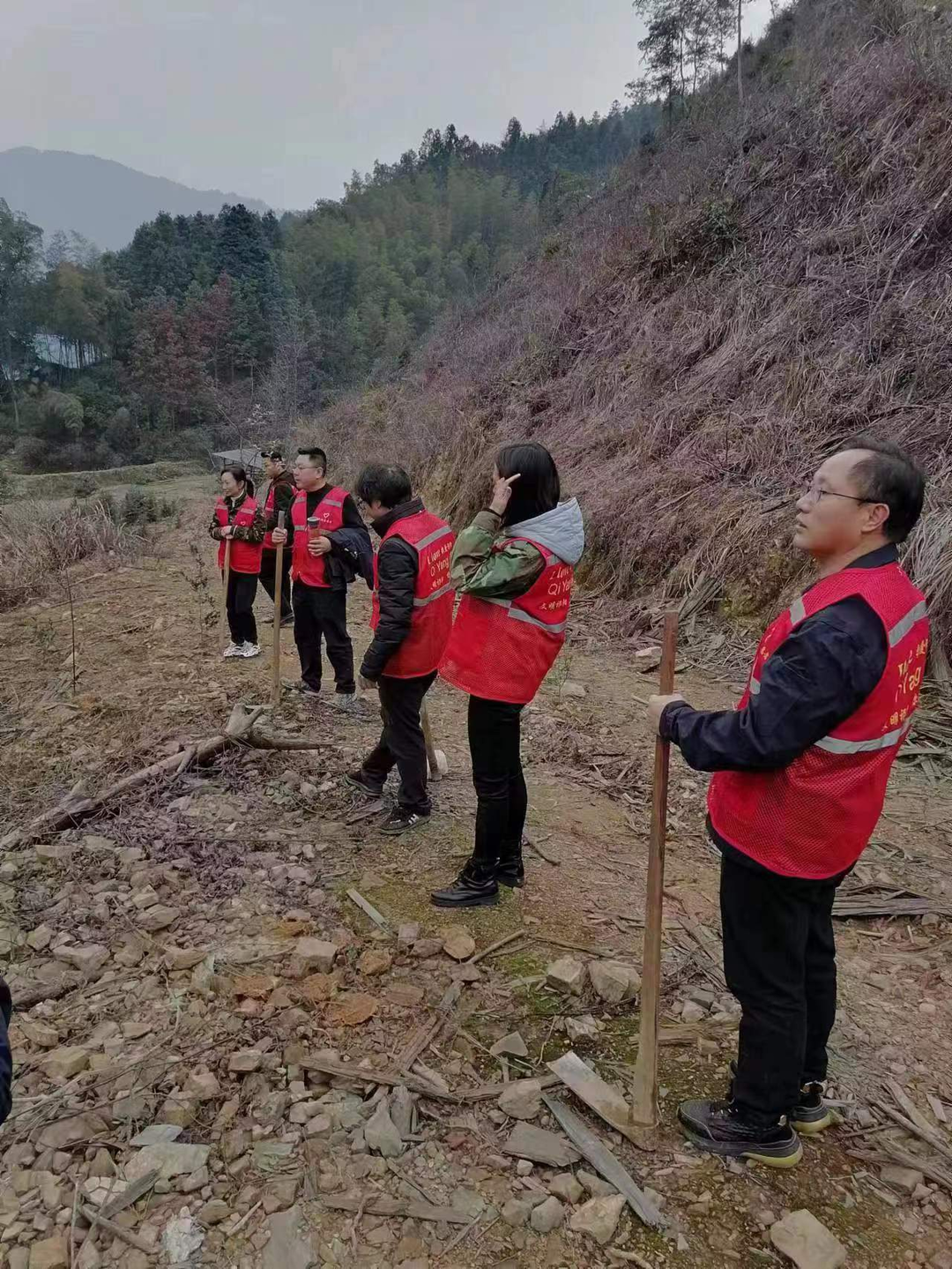大江林场开展义务植树活动