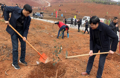 祁阳市委编办积极开展义务植树活动