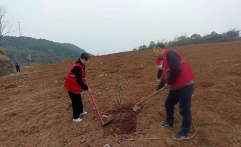 祁阳市科协积极参与义务植树活动