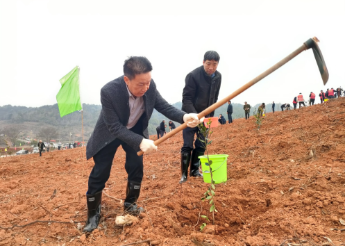 祁阳市民政局：义务植树助力乡村振兴