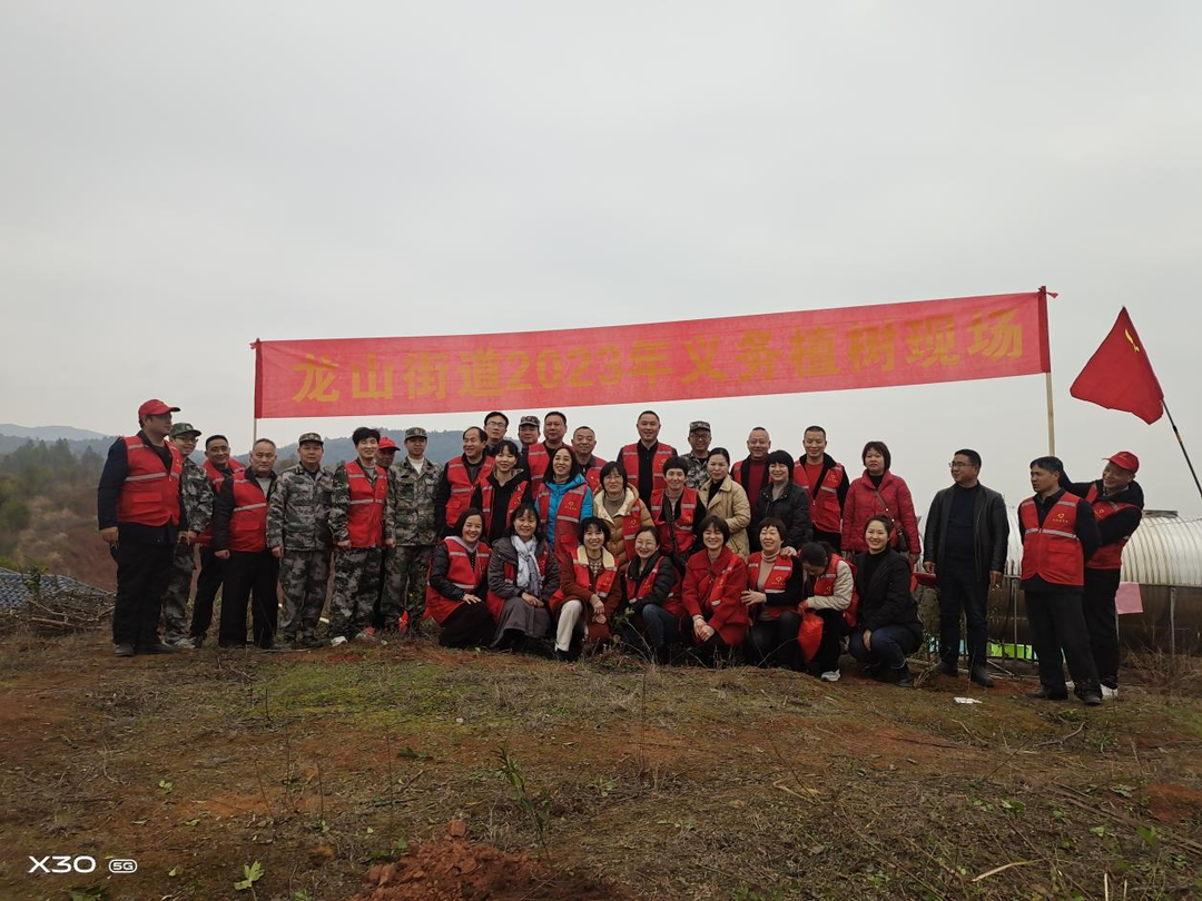 祁阳市龙山街道2023年全民义务植树活动