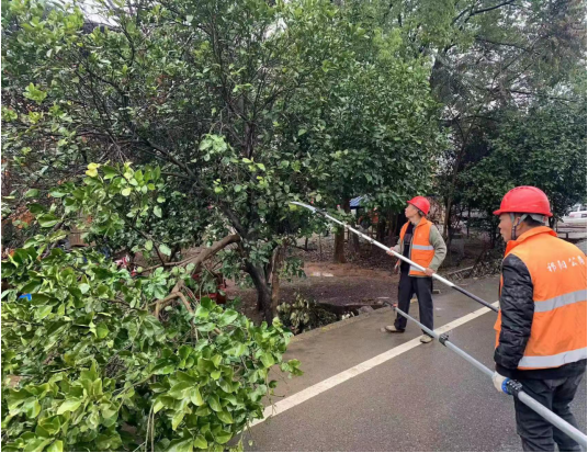 祁阳市公路建设养护中心 春风里 养护忙