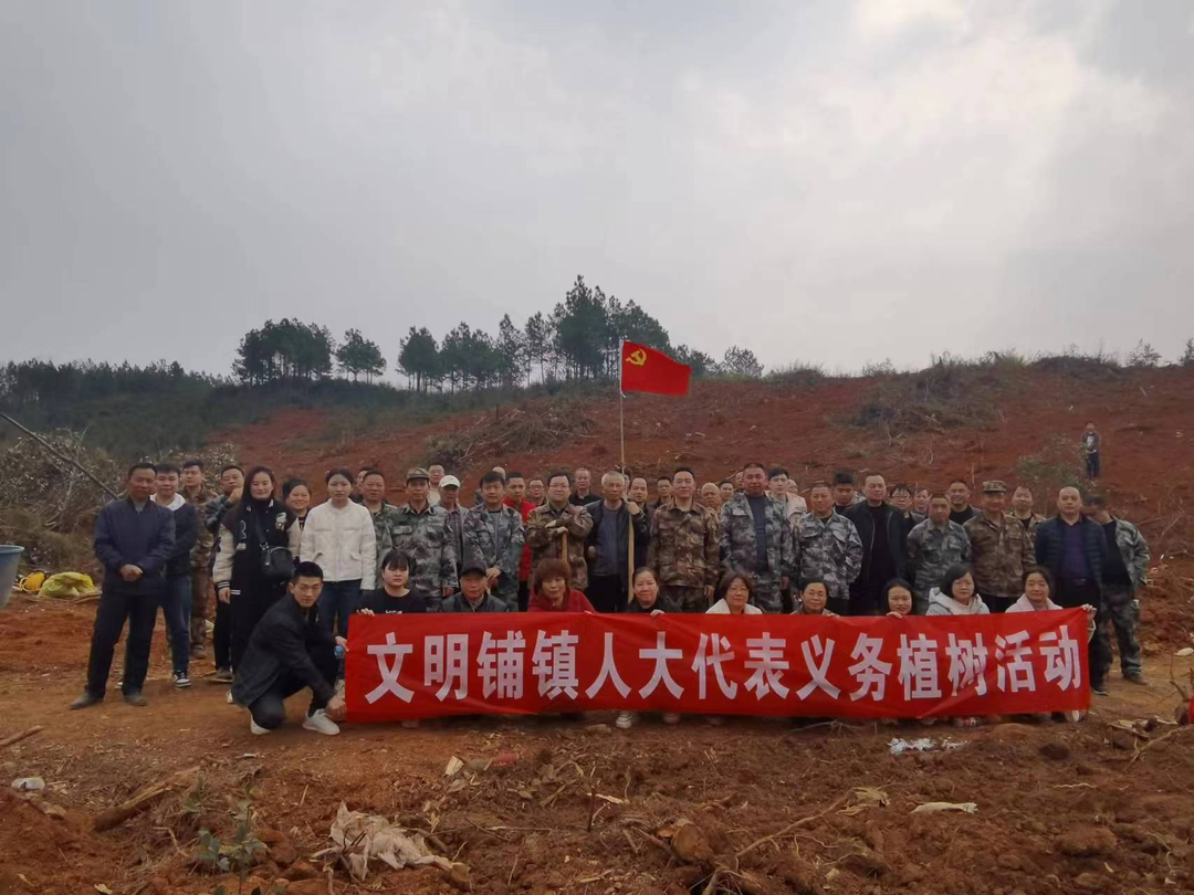 文明铺镇：植树添绿正当时，人大代表在行动