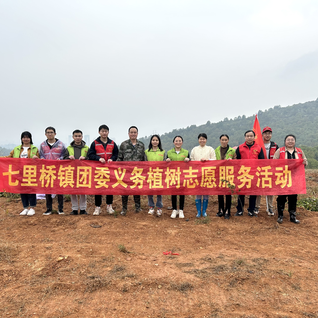 七里桥镇：植树播绿 青年先行