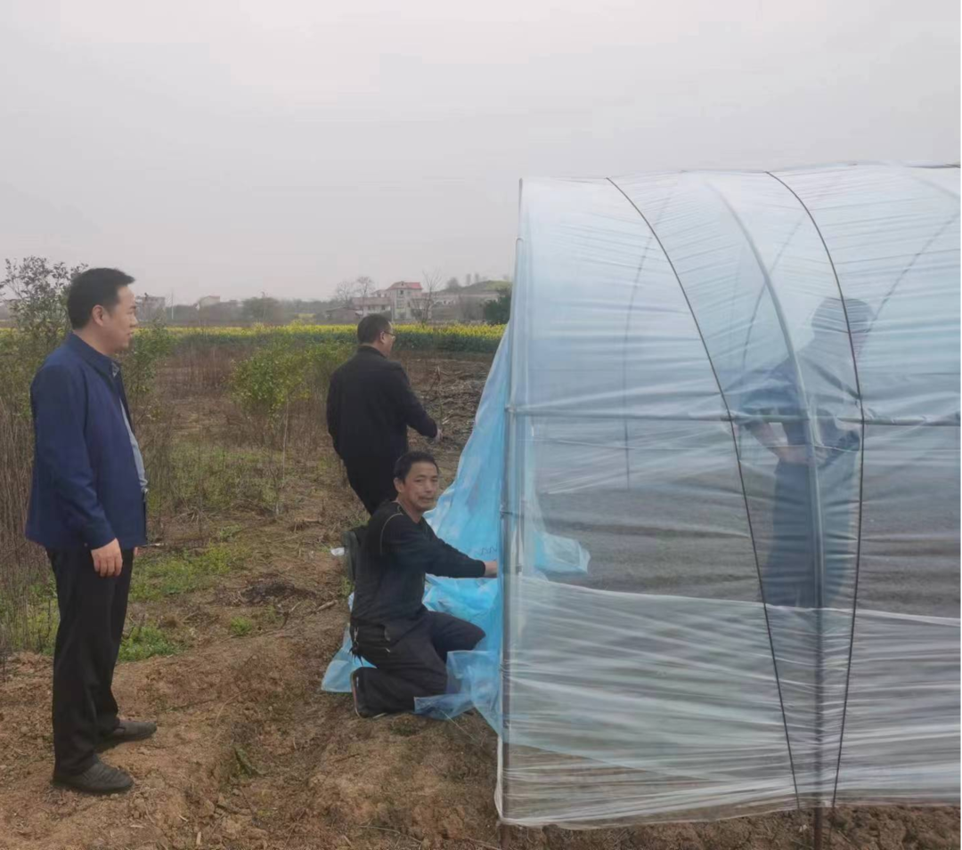 文明铺镇：惊蛰忙育秧 打好备耕战