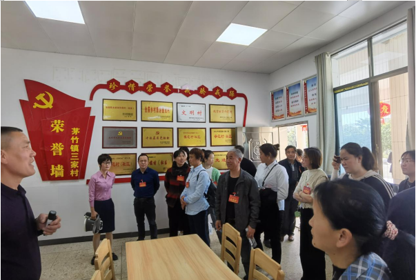 茅竹镇组织人大代表开展集中视察活动