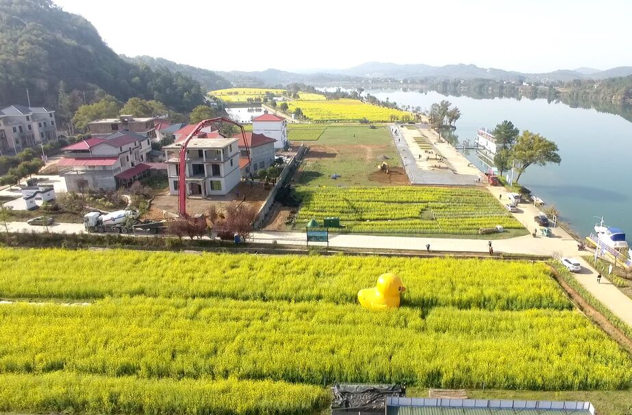 （相约三家村）祁阳市首届油菜花节暨农副产品推介活动正在紧锣密鼓筹备中