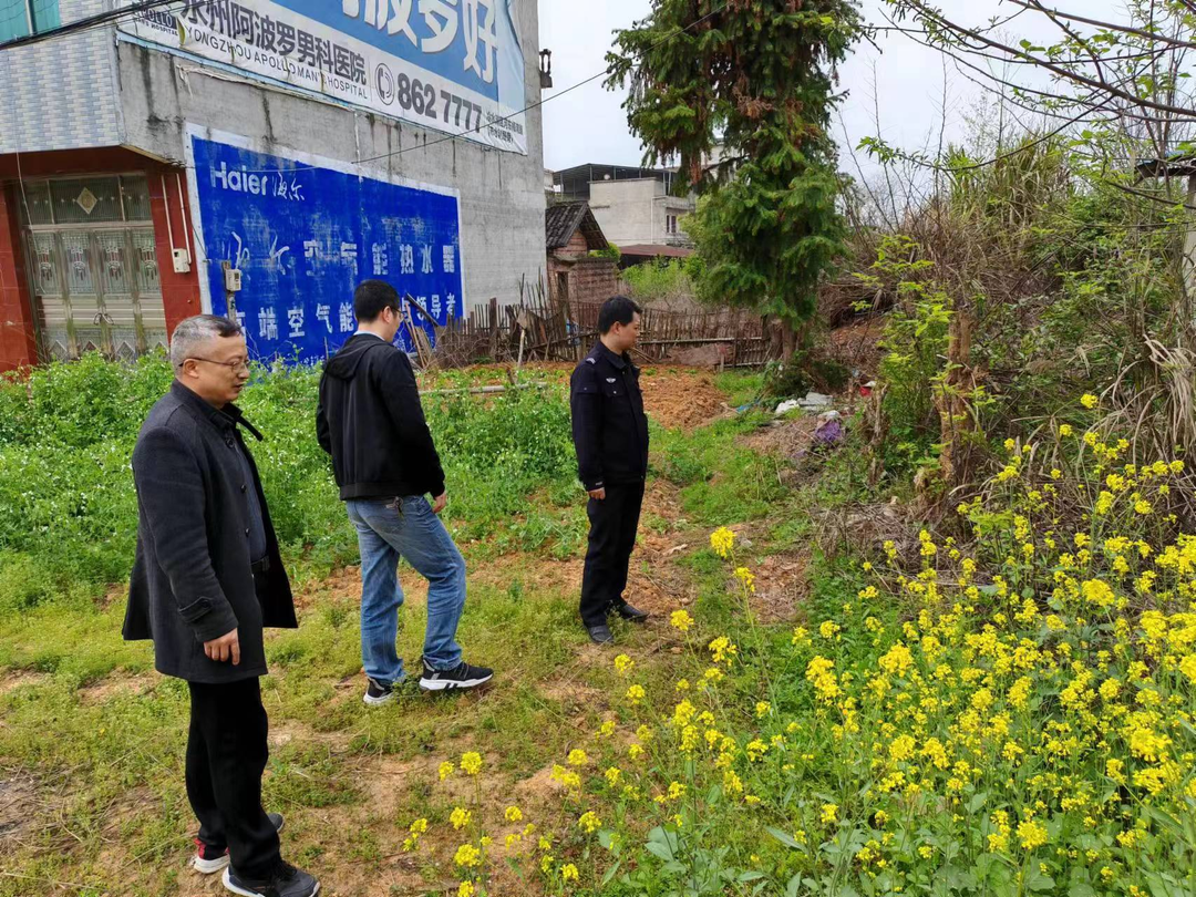 八宝镇开展禁种铲毒踏查工作