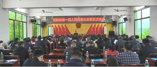 肖家镇第一届人大第五次会议召开