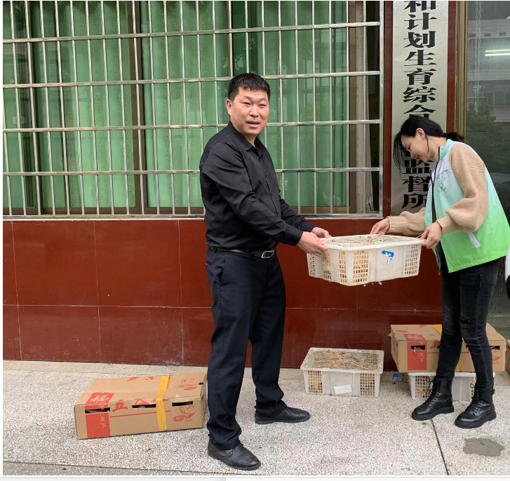 浯溪街道:  开展“送鸡苗、助增收”活动