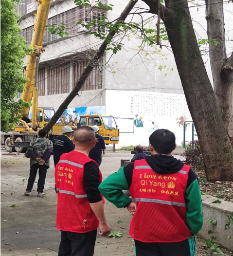 龙山街道九塘冲社区修剪树枝获居民点赞