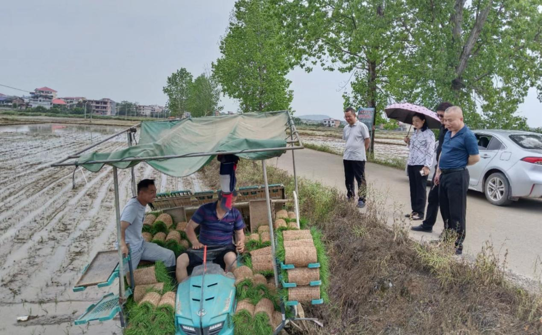 祁阳启动全市春耕生产工作第二阶段专项督查