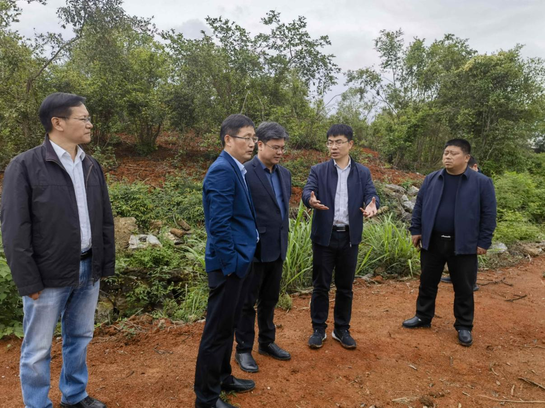 湖南省自然资源厅一行来祁调研耕地保护工作