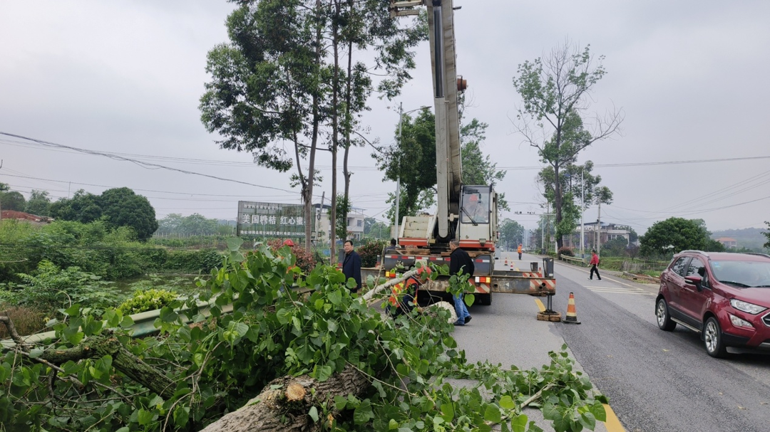 祁阳公路 ：消除路树隐患 确保通行安全