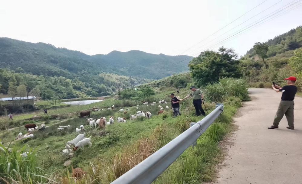 龚家坪镇扎实开展防范化解重大生态环境风险隐患“利剑”行动