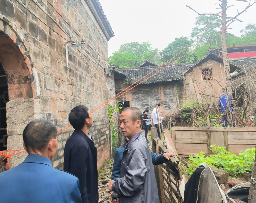 大忠桥镇：风吹枯树危民安  排除隐患保安全