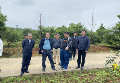 中央财政林业科技推广示范项目-“湖南祁阳市油茶标准化示范区建设项目”通过绩效评价