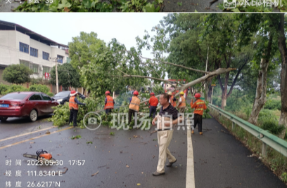 祁阳市公路建设养护中心：清理倒伏路树保畅通