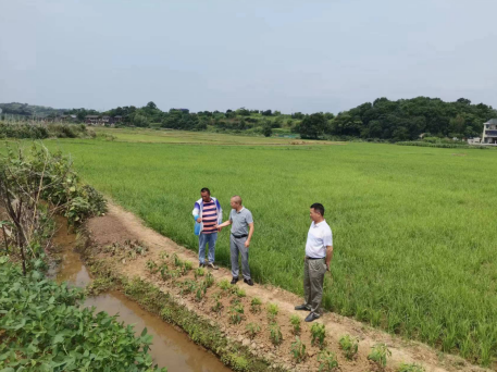 祁阳市龙江桥水库灌区: 调水节水保灌溉 助力生产暖民心