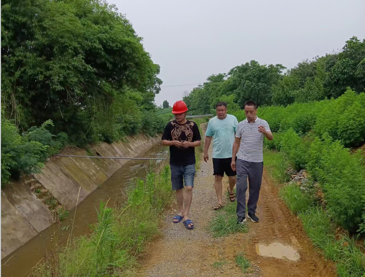 龙江桥水库灌区: 假日我在岗，碧水润良田