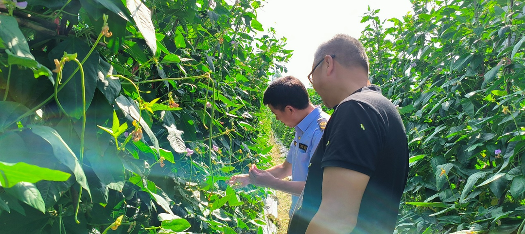 祁阳：抓实农产品抽检监测 护佑市民“舌尖”安全