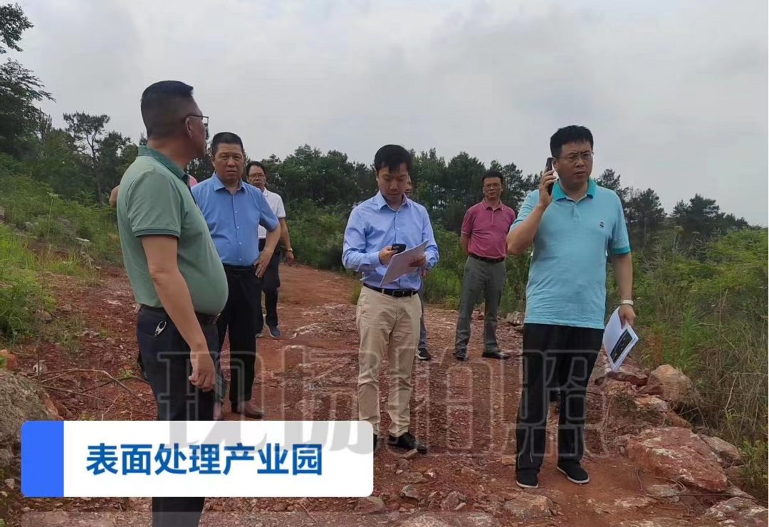 廖劲松调研永州市（祁阳）表面产业园项目