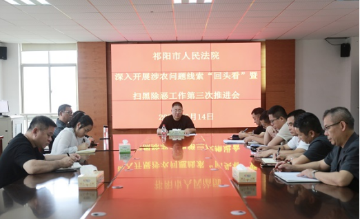 祁阳法院召开深入开展涉农问题线索“回头看”暨扫黑除恶工作第三次推进会